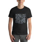 Words Can't Describe Unisex t-shirt